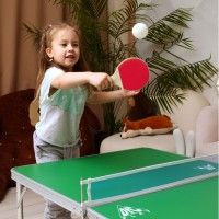 Теннисный стол DFC DANDELION 48" JG-T-84822 детский